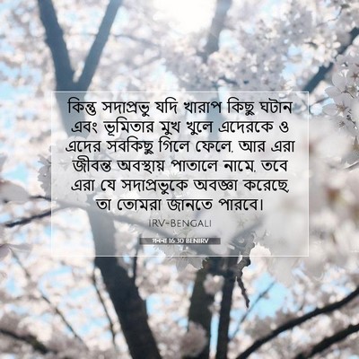 Picture 07 - গননা 16:30 BENIRV - কিন্তু সদাপ্রভু - Bible Verse Picture