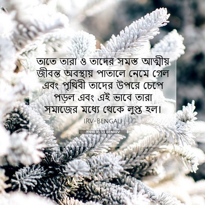 Picture 07 - গননা 16:33 BENIRV - তাতে তারা ও তাদের - Bible Verse Picture