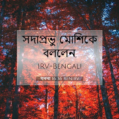 Picture 07 - গননা 16:36 BENIRV - সদাপ্রভু মোশিকে - Bible Verse Picture