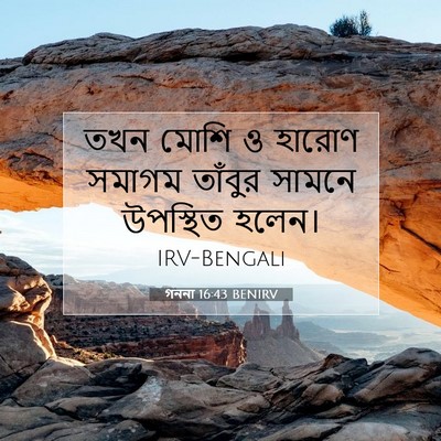 Picture 07 - গননা 16:43 BENIRV - তখন মোশি ও হারোণ - Bible Verse Picture