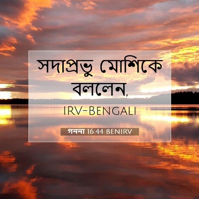 Picture 07 - গননা 16:44 BENIRV - সদাপ্রভু মোশিকে - Bible Verse Picture