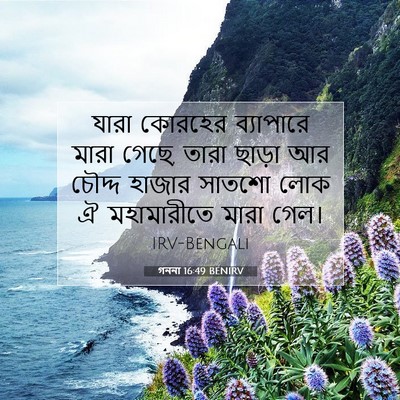 Picture 07 - গননা 16:49 BENIRV - যারা কোরহের - Bible Verse Picture