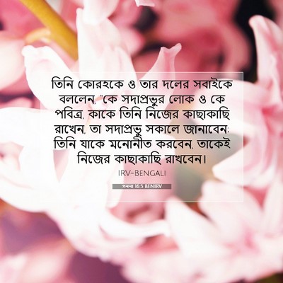 Picture 07 - গননা 16:5 BENIRV - তিনি কোরহকে ও তার - Bible Verse Picture