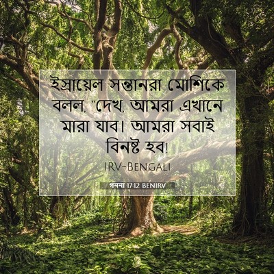Picture 07 - গননা 17:12 BENIRV - ইস্রায়েল - Bible Verse Picture