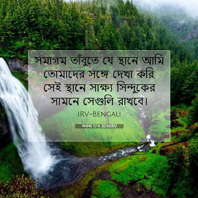 Picture 07 - গননা 17:4 BENIRV - সমাগম তাঁবুতে যে - Bible Verse Picture
