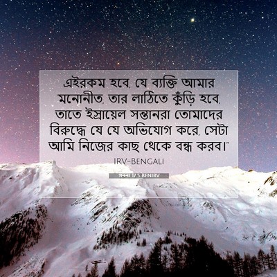Picture 07 - গননা 17:5 BENIRV - এইরকম হবে, যে - Bible Verse Picture
