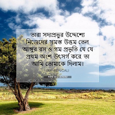 Picture 07 - গননা 18:12 BENIRV - তারা সদাপ্রভুর - Bible Verse Picture