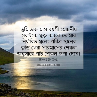 Picture 07 - গননা 18:16 BENIRV - তুমি এক মাস বয়সী - Bible Verse Picture