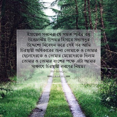 Picture 07 - গননা 18:19 BENIRV - ইস্রায়েল - Bible Verse Picture
