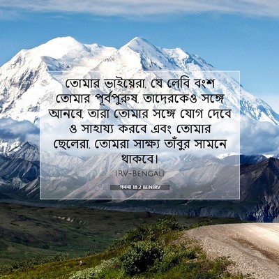 Picture 07 - গননা 18:2 BENIRV - তোমার ভাইয়েরা, যে - Bible Verse Picture