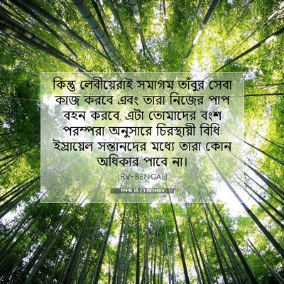 Picture 07 - গননা 18:23 BENIRV - কিন্তু লেবীয়েরাই - Bible Verse Picture