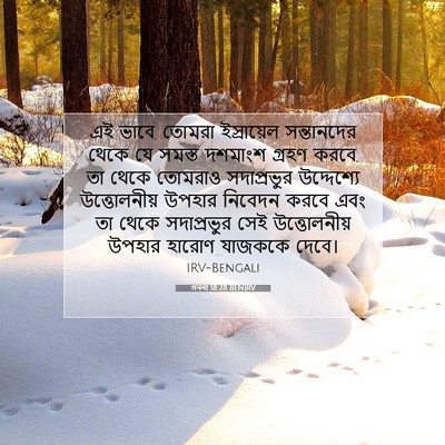Picture 07 - গননা 18:28 BENIRV - এই ভাবে, তোমরা - Bible Verse Picture