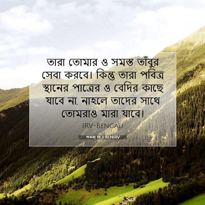 Picture 07 - গননা 18:3 BENIRV - তারা তোমার ও সমস্ত - Bible Verse Picture