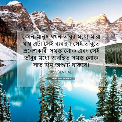 Picture 07 - গননা 19:14 BENIRV - কোন মানুষ যখন - Bible Verse Picture