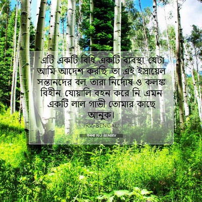 Picture 07 - গননা 19:2 BENIRV - “এটি একটি বিধি, - Bible Verse Picture