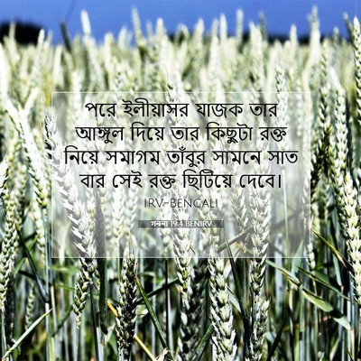 Picture 07 - গননা 19:4 BENIRV - পরে ইলীয়াসর যাজক - Bible Verse Picture