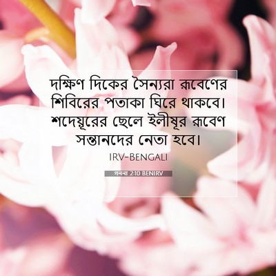 Picture 07 - গননা 2:10 BENIRV - দক্ষিণ দিকের - Bible Verse Picture
