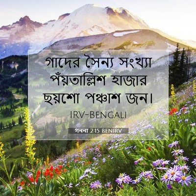 Picture 07 - গননা 2:15 BENIRV - গাদের সৈন্য - Bible Verse Picture
