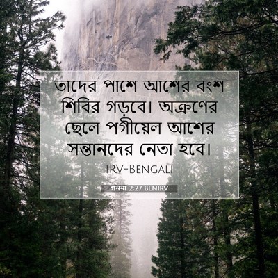 Picture 07 - গননা 2:27 BENIRV - তাদের পাশে আশের - Bible Verse Picture