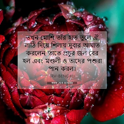 Picture 07 - গননা 20:11 BENIRV - তখন মোশি তাঁর হাত - Bible Verse Picture