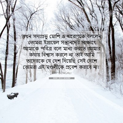 Picture 07 - গননা 20:12 BENIRV - তখন সদাপ্রভু মোশি - Bible Verse Picture