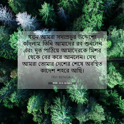 Picture 07 - গননা 20:16 BENIRV - যখন আমরা - Bible Verse Picture