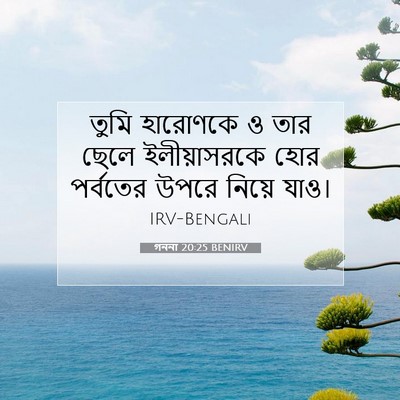 Picture 07 - গননা 20:25 BENIRV - তুমি হারোণকে ও তার - Bible Verse Picture