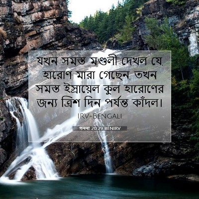 Picture 07 - গননা 20:29 BENIRV - যখন সমস্ত মণ্ডলী - Bible Verse Picture