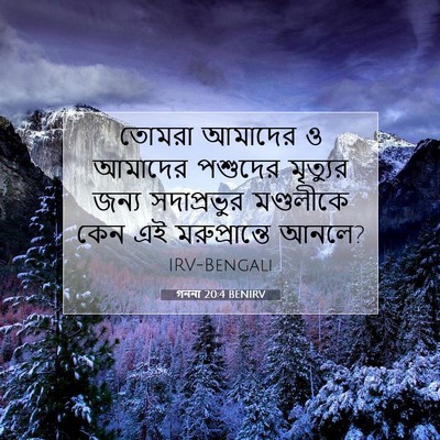 Picture 07 - গননা 20:4 BENIRV - তোমরা আমাদের ও - Bible Verse Picture