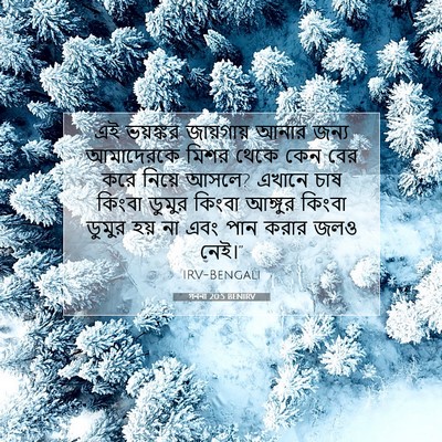 Picture 07 - গননা 20:5 BENIRV - এই ভয়ঙ্কর - Bible Verse Picture