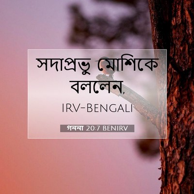 Picture 07 - গননা 20:7 BENIRV - সদাপ্রভু মোশিকে - Bible Verse Picture