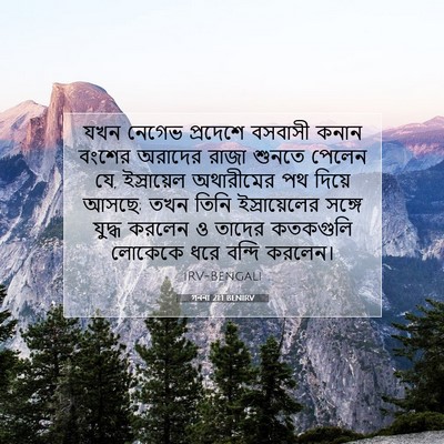 Picture 07 - গননা 21:1 BENIRV - যখন নেগেভ প্রদেশে - Bible Verse Picture
