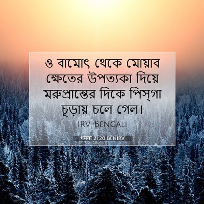 Picture 07 - গননা 21:20 BENIRV - ও বামোৎ থেকে - Bible Verse Picture