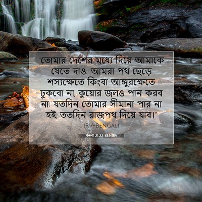 Picture 07 - গননা 21:22 BENIRV - “তোমার দেশের - Bible Verse Picture