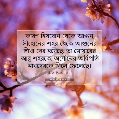 Picture 07 - গননা 21:28 BENIRV - কারণ হিষ্‌বোন - Bible Verse Picture