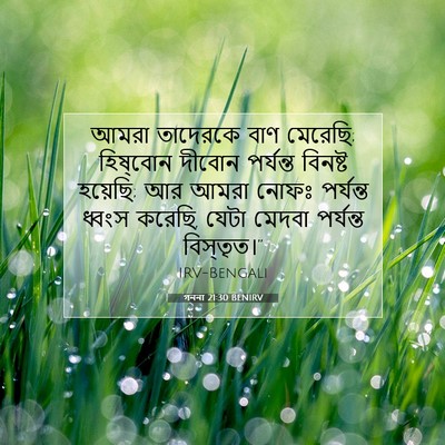 Picture 07 - গননা 21:30 BENIRV - আমরা তাদেরকে বাণ - Bible Verse Picture