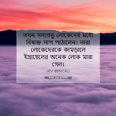 Picture 07 - গননা 21:6 BENIRV - তখন সদাপ্রভু - Bible Verse Picture