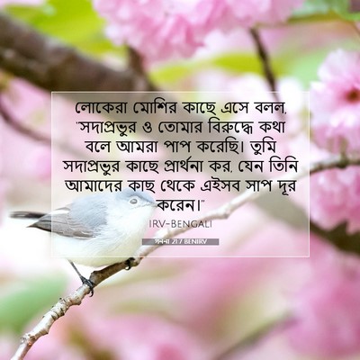 Picture 07 - গননা 21:7 BENIRV - লোকেরা মোশির কাছে - Bible Verse Picture