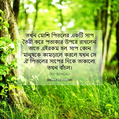 Picture 07 - গননা 21:9 BENIRV - তখন মোশি পিতলের - Bible Verse Picture