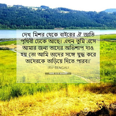 Picture 07 - গননা 22:11 BENIRV - দেখ, মিশর থেকে - Bible Verse Picture