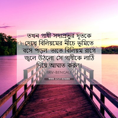Picture 07 - গননা 22:27 BENIRV - তখন গাধী - Bible Verse Picture