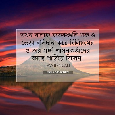 Picture 07 - গননা 22:40 BENIRV - তখন বালাক কতকগুলি - Bible Verse Picture