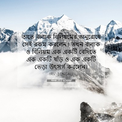 Picture 07 - গননা 23:2 BENIRV - তাতে বালাক - Bible Verse Picture