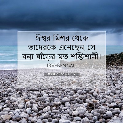 Picture 07 - গননা 23:22 BENIRV - ঈশ্বর মিশর থেকে - Bible Verse Picture