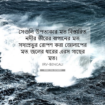 Picture 07 - গননা 24:6 BENIRV - সেগুলি উপত্যকার - Bible Verse Picture