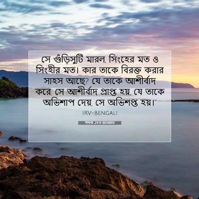 Picture 07 - গননা 24:9 BENIRV - সে গুঁড়িসুটি - Bible Verse Picture