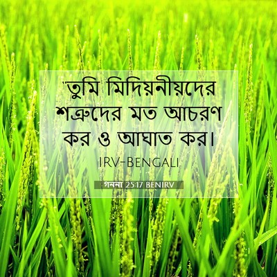 Picture 07 - গননা 25:17 BENIRV - “তুমি - Bible Verse Picture