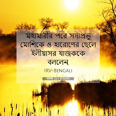 Picture 07 - গননা 26:1 BENIRV - মহামারীর পরে - Bible Verse Picture