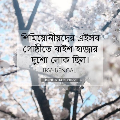 Picture 07 - গননা 26:14 BENIRV - শিমিয়োনীয়দের - Bible Verse Picture