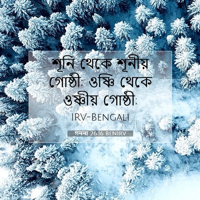 Picture 07 - গননা 26:16 BENIRV - শূনি থেকে শূনীয় - Bible Verse Picture
